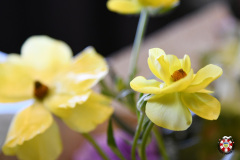 GPC_2024_289
